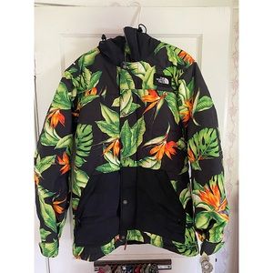 North Face Ski jacket